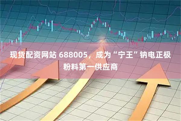 现货配资网站 688005，成为“宁王”钠电正极粉料第一供应商