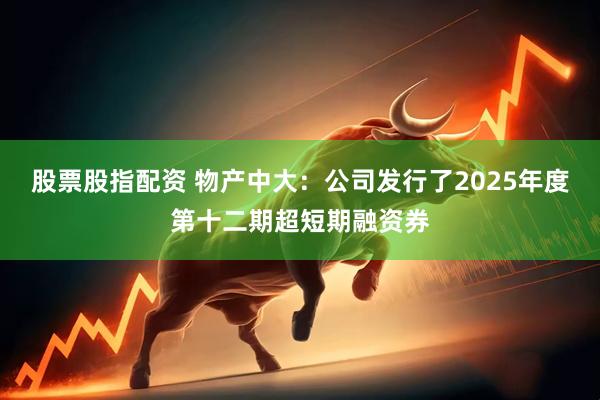 股票股指配资 物产中大：公司发行了2025年度第十二期超短期融资券