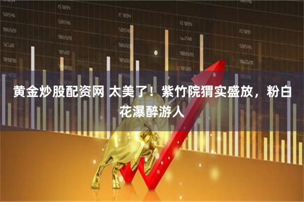 黄金炒股配资网 太美了！紫竹院猬实盛放，粉白花瀑醉游人