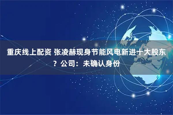 重庆线上配资 张凌赫现身节能风电新进十大股东？公司：未确认身份