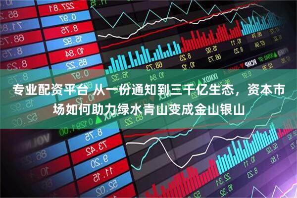 专业配资平台 从一份通知到三千亿生态，资本市场如何助力绿水青山变成金山银山